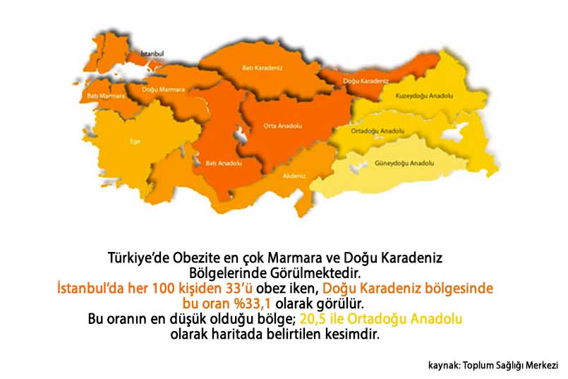 Türkiye'nin Obezite Haritası