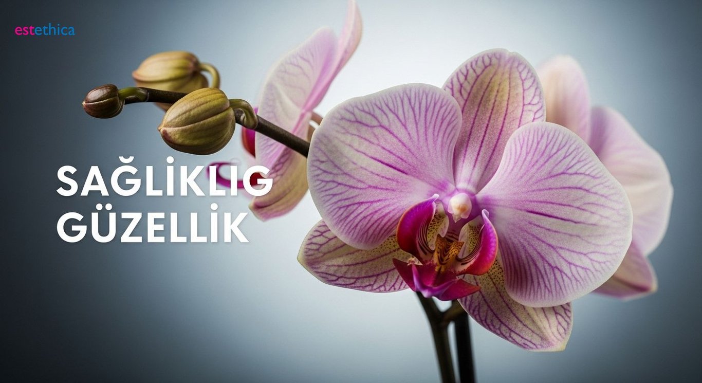 Phalloplasty and penis implants modern options