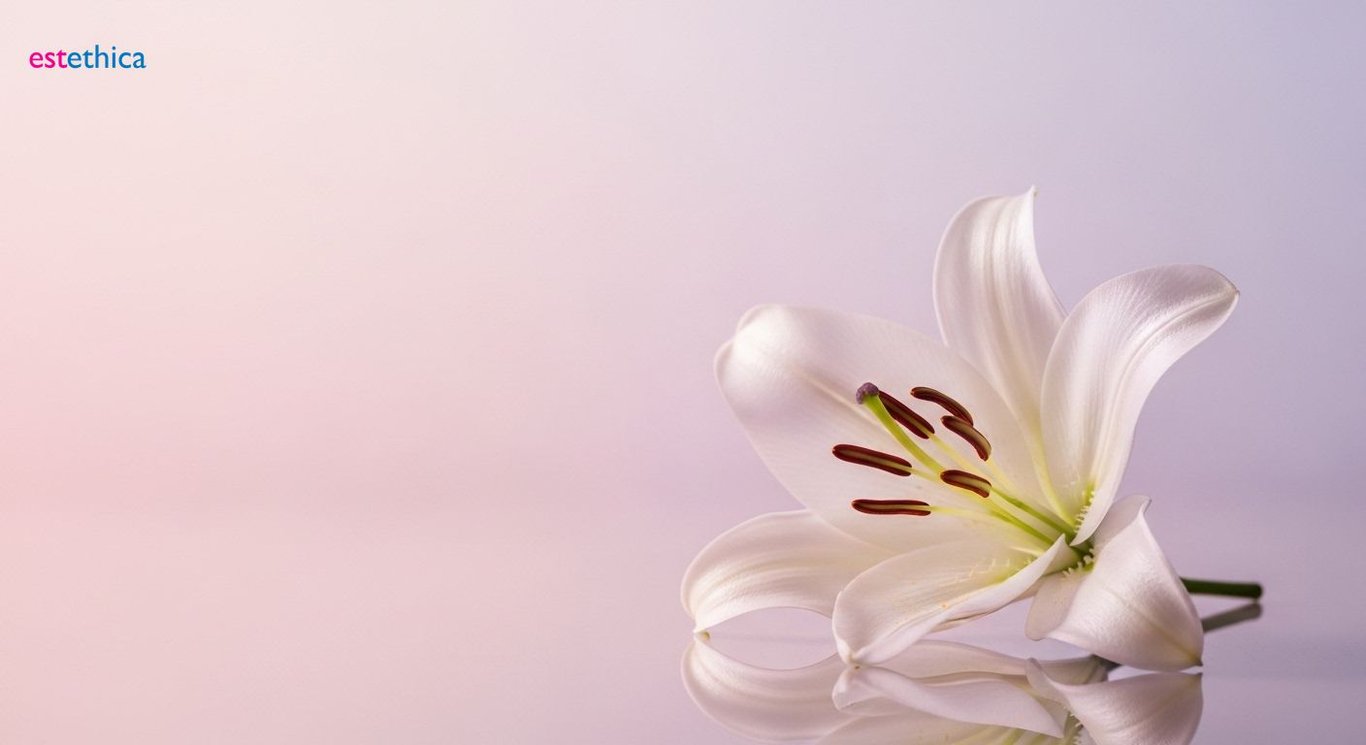 Breast augmentation understanding beyond size